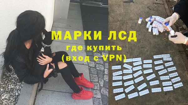 гидра Арсеньев