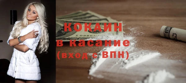 гидра Арсеньев