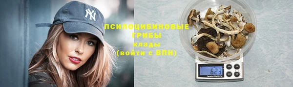гидра Арсеньев
