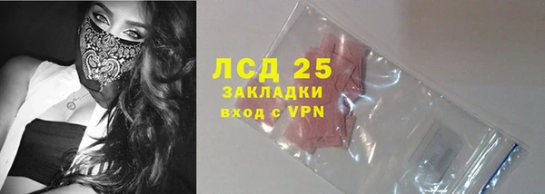 гидра Арсеньев