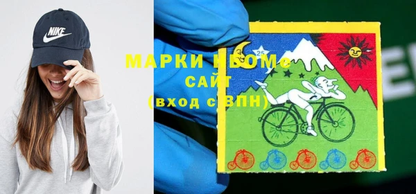 гидра Арсеньев
