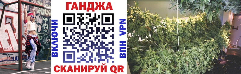 Каннабис план  как найти наркотики  Слюдянка 